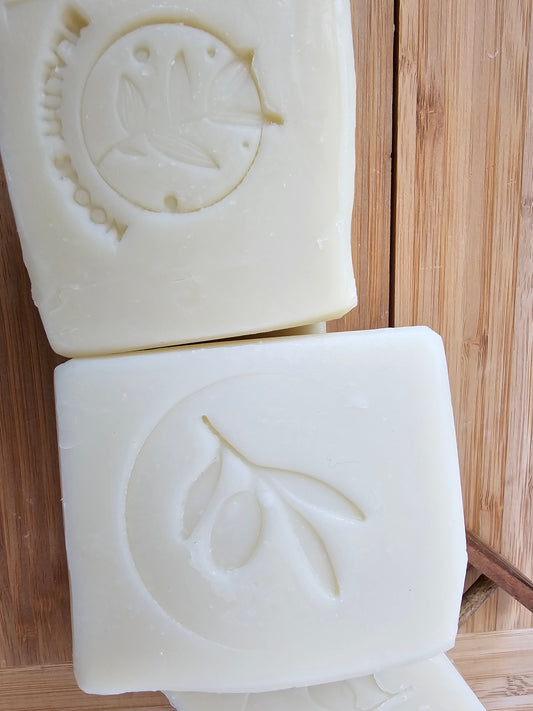 Aloe Vera Soap